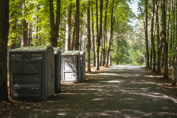 Best Wedding porta potty rental  in St Charles, MN